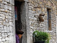 Village Buyi de Gaodang