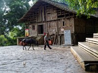 village Buyi de Nanlong,pierre, briques, bois et larges tuiles rondes