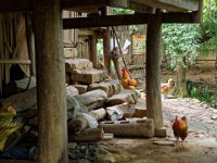 village Buyi de Nanlong