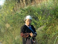 Femme Dong revenant des champs