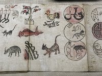 Document de divination servant de calendrier  shabi  -   Musée du Sichuan à Chengdu