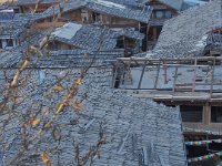 Toits de bois de Zhongdian, Yunnan