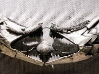 Bijou d'argent : musée d'ethnologie d'Enshi  (Hubei)