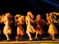 15 enshi tanlong 4182