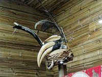 Coiffe de  bimo  : Musée d'Ethnologie de Kunming