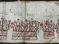 Prédiction de bonne fortune : Musée d'Ethnologie de Kunming