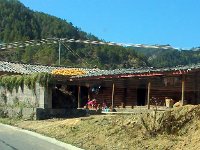 Ferme des montagnes Manmian (Yunnan)