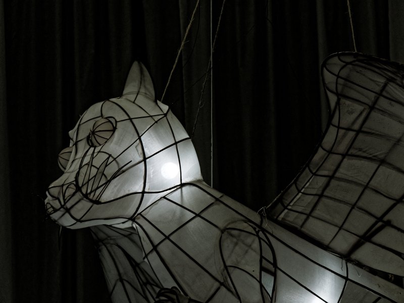 16_ai_weiwei_23