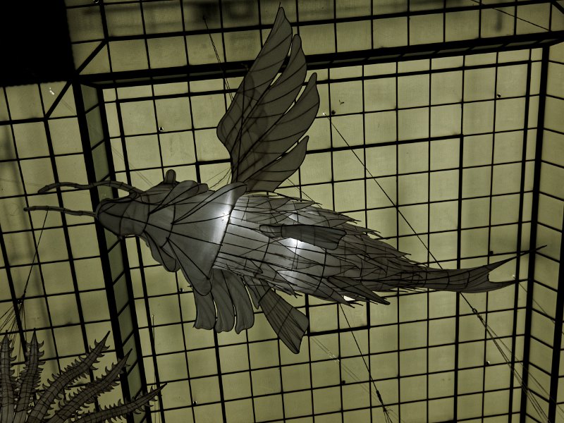 16_ai_weiwei_32