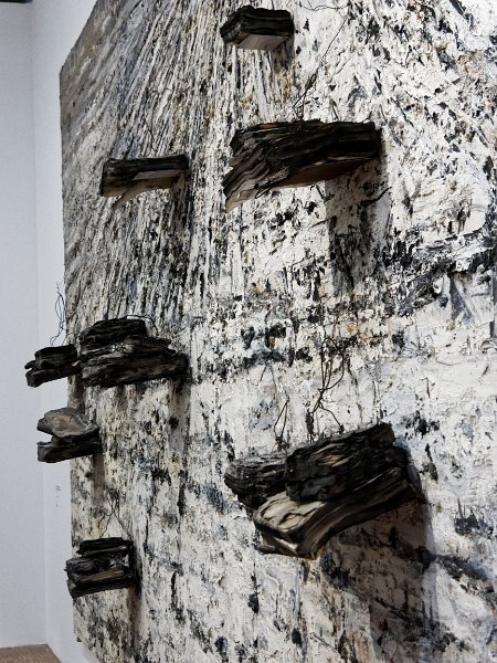 16_kiefer_54