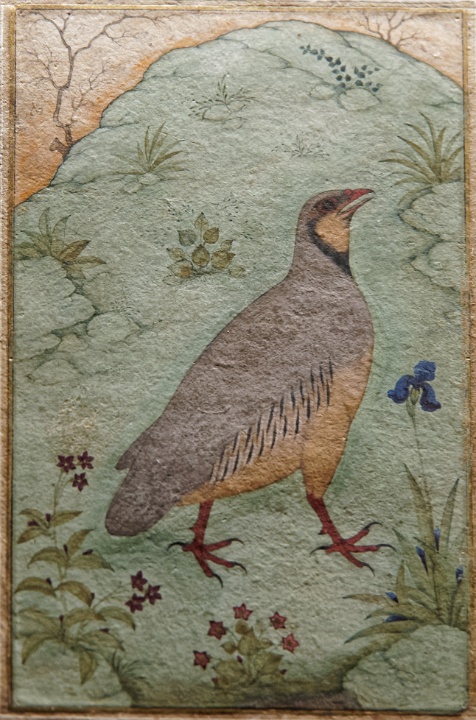 17_rajasthan_guimet_63