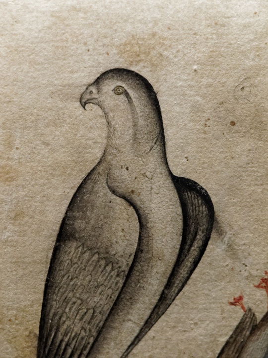 17_rajasthan_guimet_65