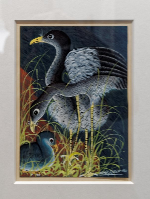 15_congo_58-1