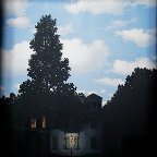 19_bruxelles_musee-magritte_645