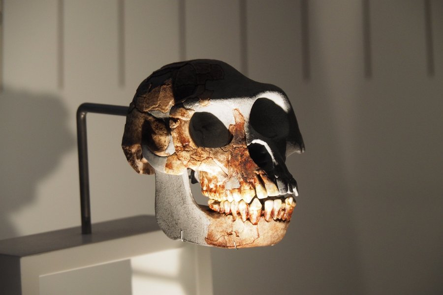 15_musee_homme_08