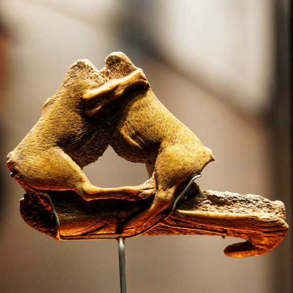 15_musee_homme_43