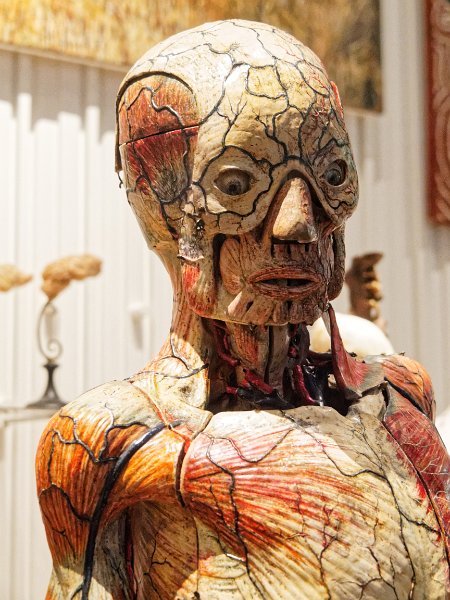 15_musee_homme_72