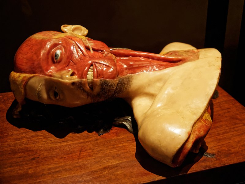 15_musee_homme_74
