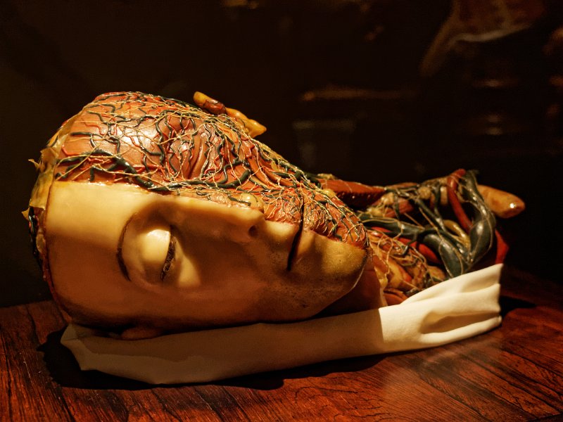 15_musee_homme_75