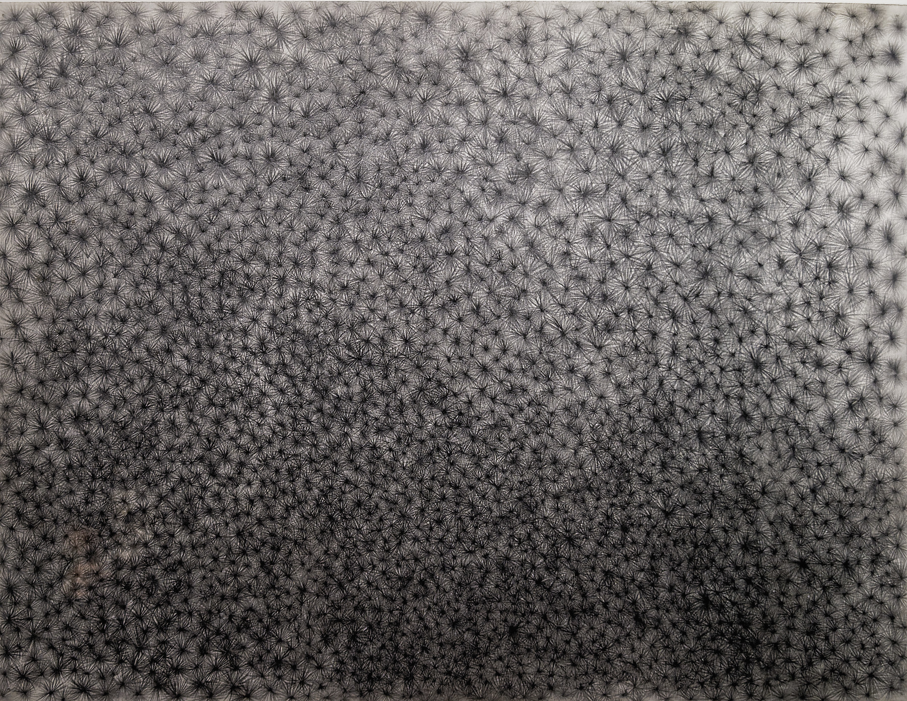 19_japon-art-brut_50
