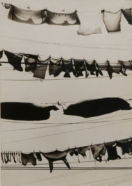 17_walker_evans_6
