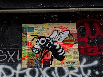 24_butte-aux-cailles_455