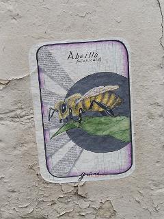 24_rue-de-bagnolet_13
