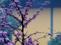 Dans le temple Lingyin