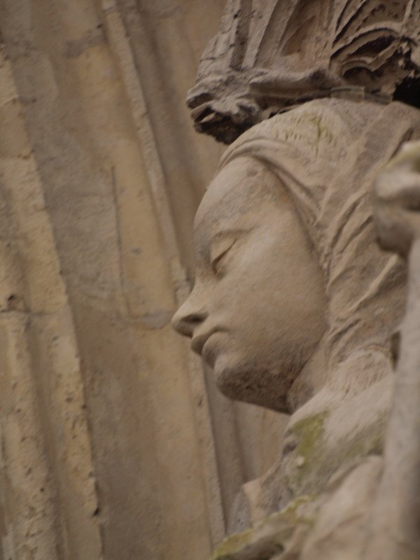 abbeville-20
