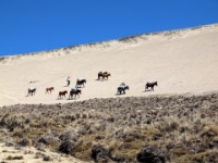 bolivie 20110816 1046