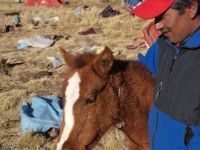 bolivie 20110818 1207
