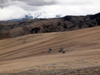 bolivie 20110820 1295
