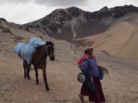 bolivie 20110820 1298