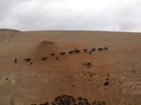 bolivie 20110820 1317