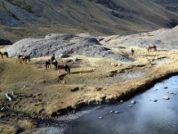 bolivie 20110822 1367
