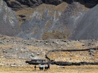 bolivie 20110822 1398