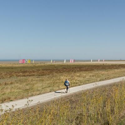 Saint-Martin des Ondes  : à l'ombre des pissenlits