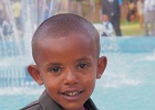 addis-440