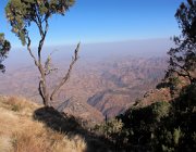 simien-34