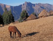 simien-472