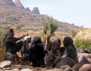 simien-555