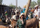 marché à Debark (Amhara)
