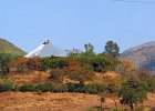 Eglise près Adis-Zemen (Amhara)