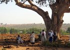 Amhara