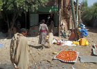 près de Bardar (Amhara)