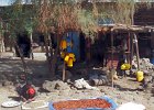 au sud de Bardar (Amhara)