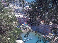 manarola