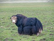 IMG_2845