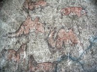 IMG_3925