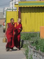 IMG_2310